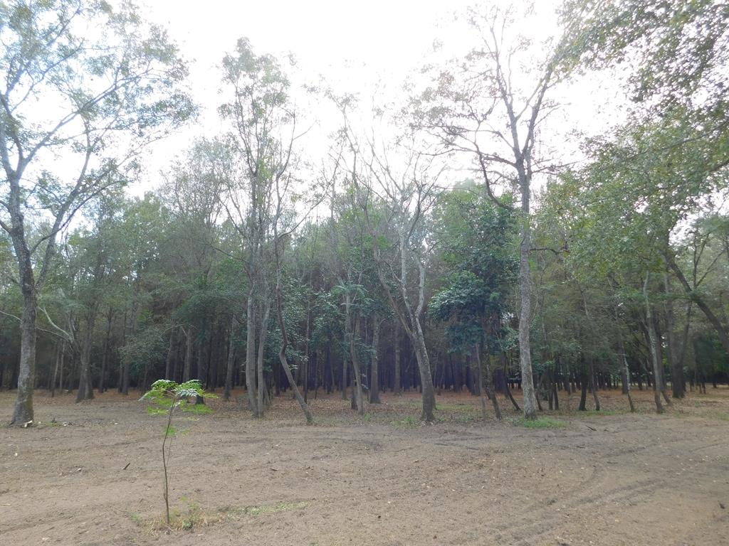 Dothan, Alabama 36303, United States, ,Land,Active,32743