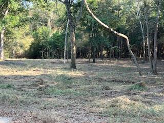 Dothan, Alabama 36303, United States, ,Land,Active,32743