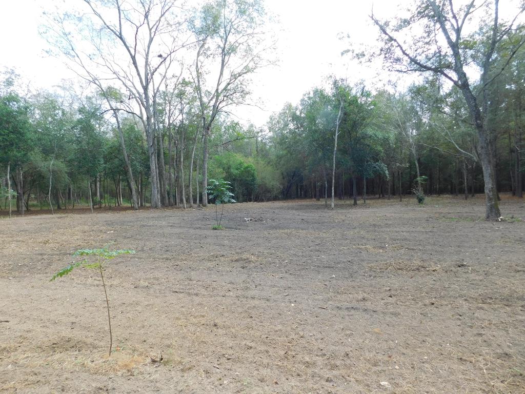 Dothan, Alabama 36303, United States, ,Land,Active,32743