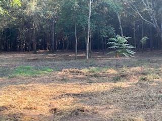 Dothan, Alabama 36303, United States, ,Land,Active,32743