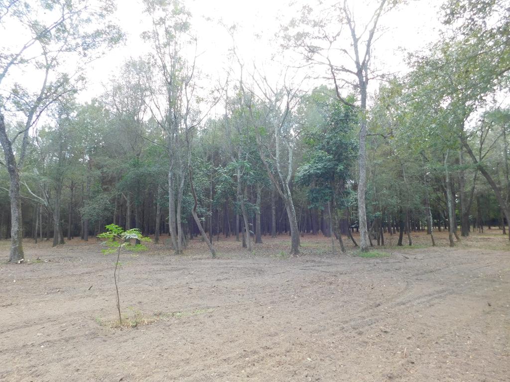 Dothan, Alabama 36303, United States, ,Land,Active,32743