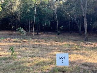 Dothan, Alabama 36303, United States, ,Land,Active,32743