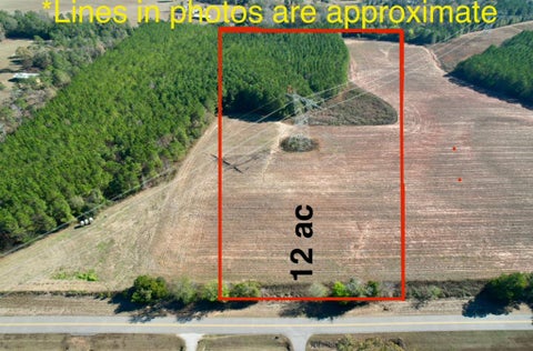 Vacant Land For Sale - County Rd 238<br/> Headland, AL 36345