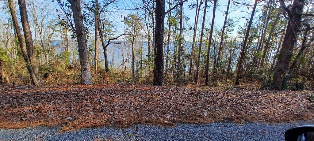 LAND ONLY Lakeshore, Abbeville, Alabama image 5