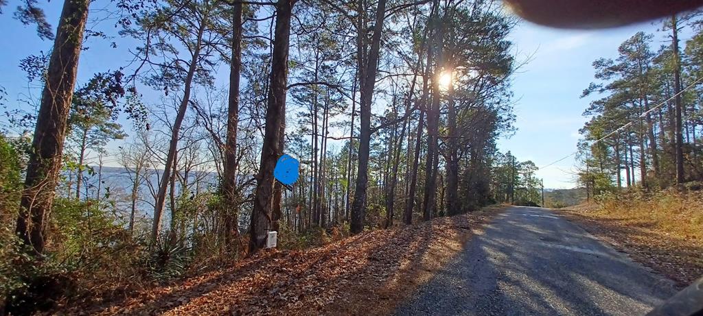 LAND ONLY Lakeshore, Abbeville, Alabama image 3