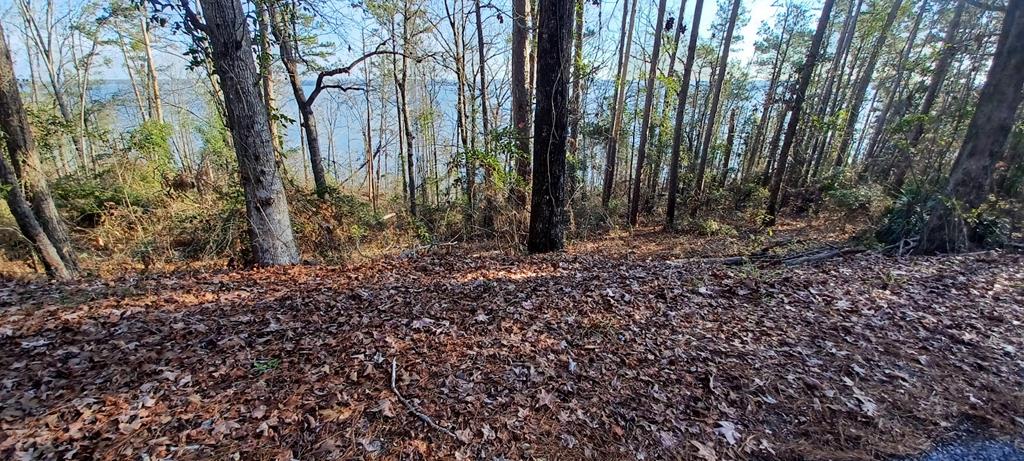 LAND ONLY Lakeshore, Abbeville, Alabama image 8