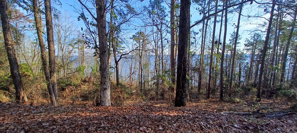 LAND ONLY Lakeshore, Abbeville, Alabama image 4