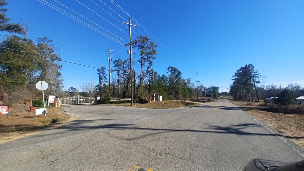 LAND ONLY Lakeshore, Abbeville, Alabama image 2