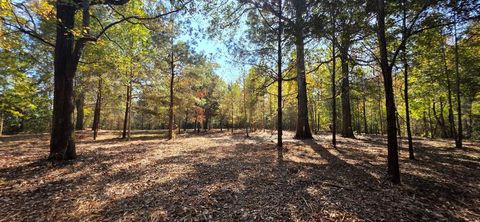 Vacant Land For Sale - 6 ACRES North Broad St<br/> Cowarts, AL 36321