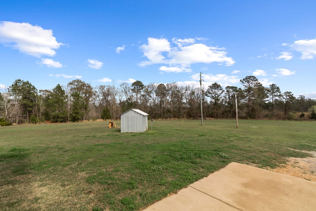 333 County Road 271, Clopton, Alabama image 44