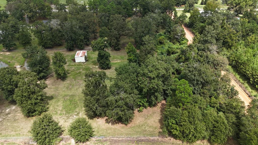 Ed Tolar Road, Pansey, Alabama image 11