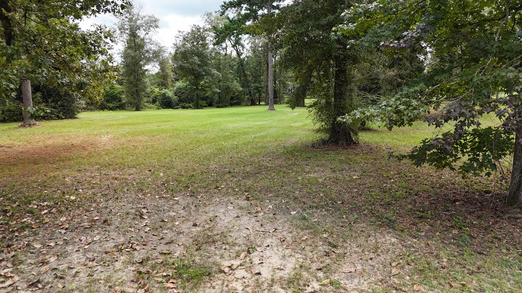 Ed Tolar Road, Pansey, Alabama image 5