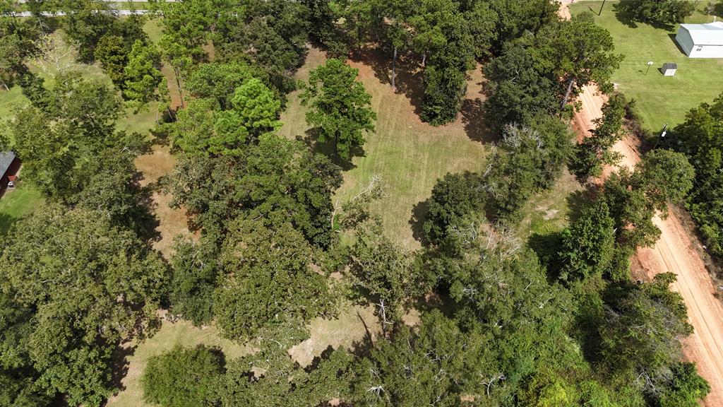 Ed Tolar Road, Pansey, Alabama image 9
