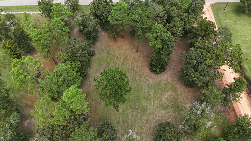 Ed Tolar Road, Pansey, Alabama image 12