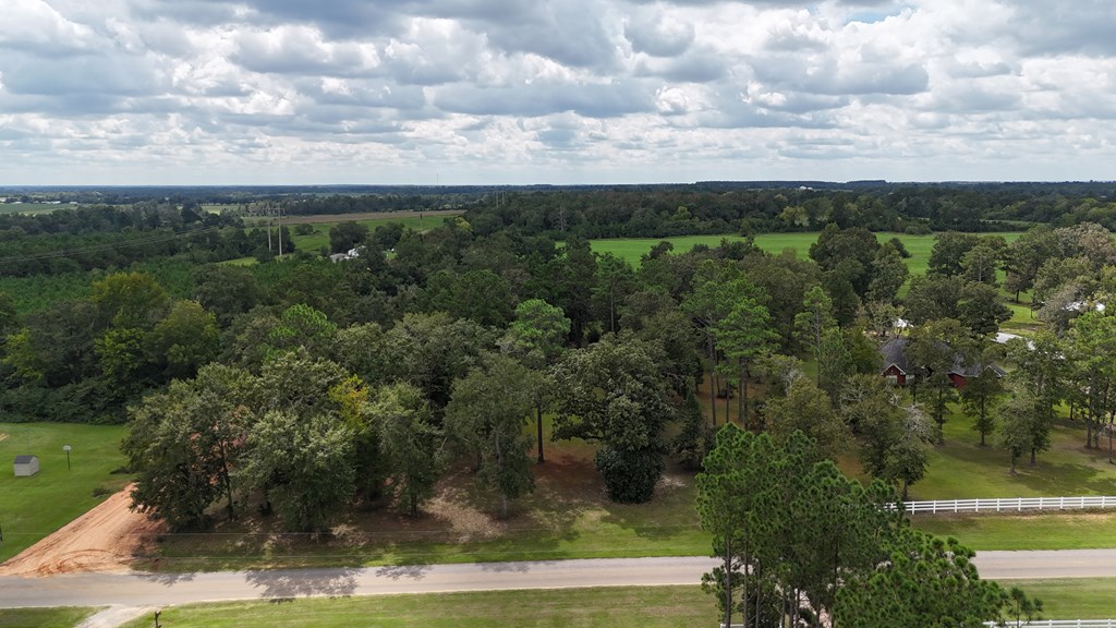 Ed Tolar Road, Pansey, Alabama image 6