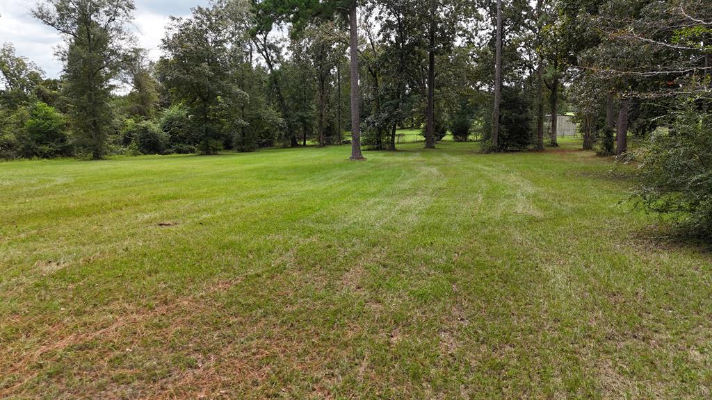 Ed Tolar Road, Pansey, Alabama image 4
