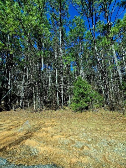 Vacant Land For Sale - Land<br/> Ozark, AL 36360