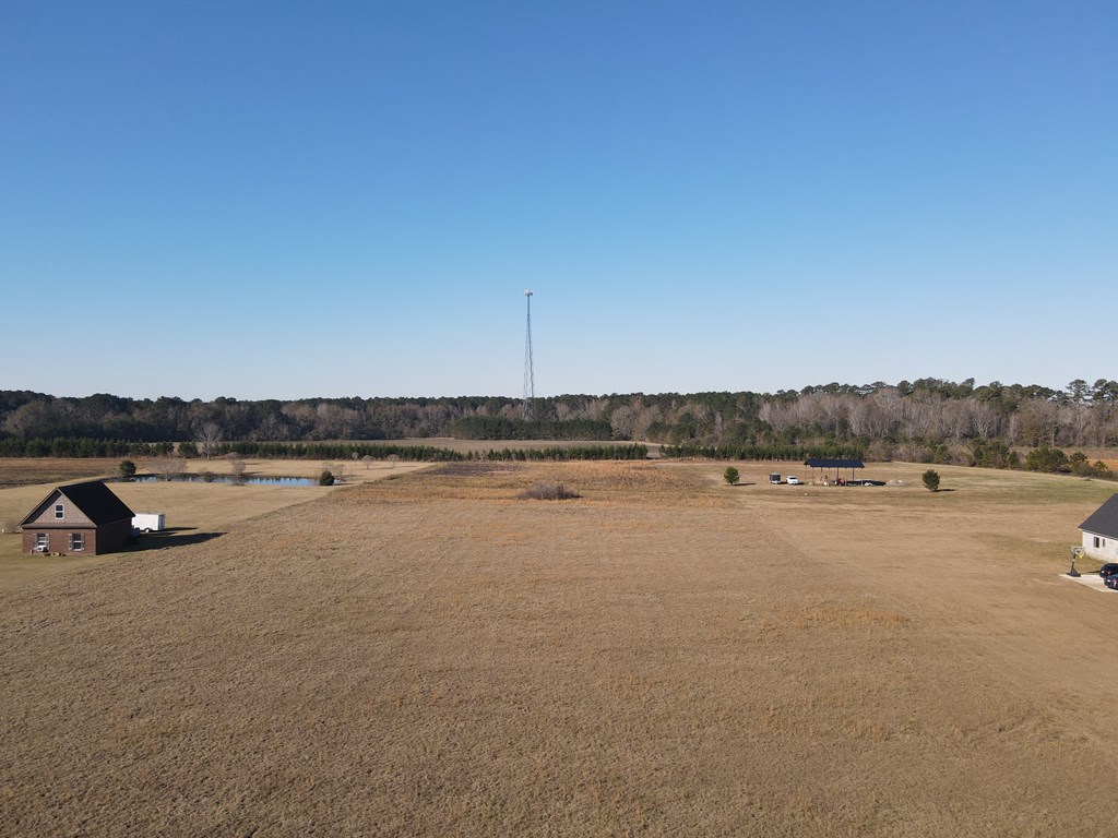 00 County Road 39 Suggs Road, Headland, Alabama image 2