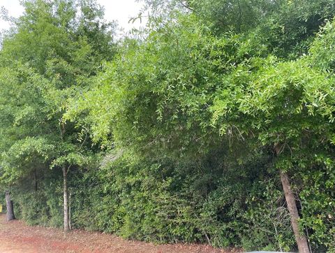 Vacant Land For Sale - Private Road 1705<br/> Enterprise, AL 36330