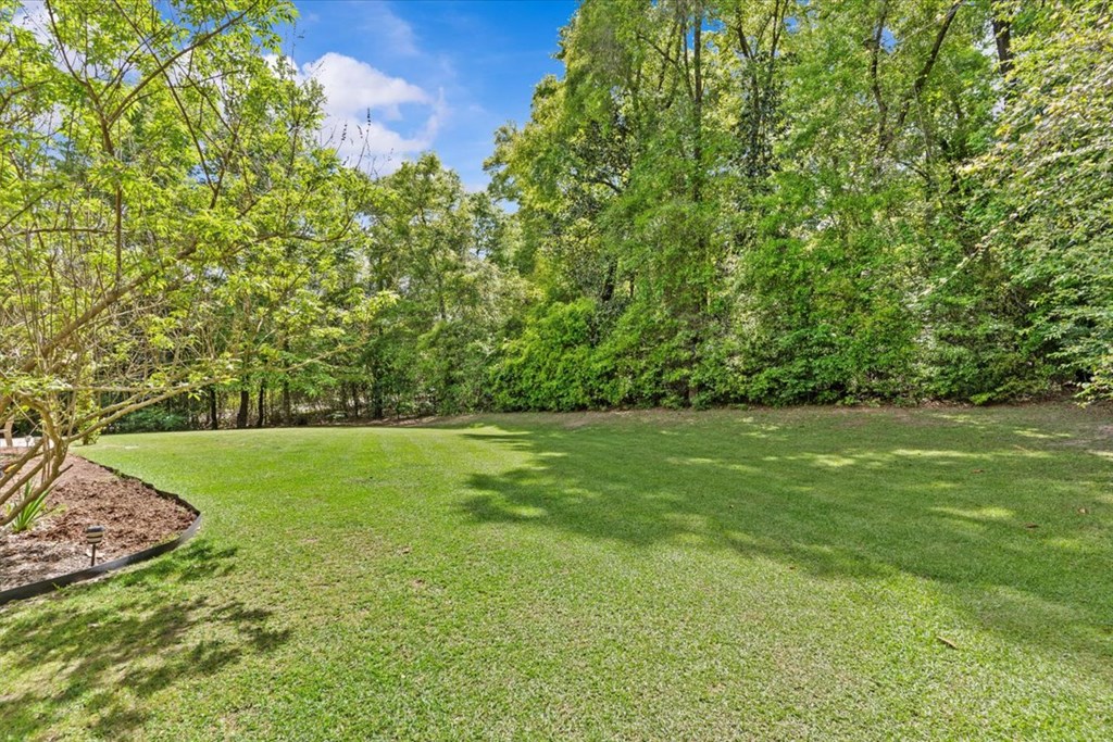 101 Red Cypress Run, Midland City, Alabama image 39