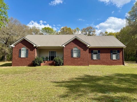 Homes For Sale - 12268 County Road 41<br/> Geneva County, Hartford, AL 36344