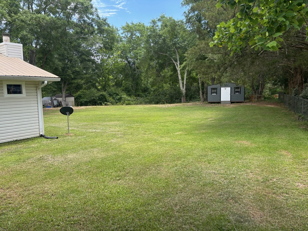 1084 Furnie Folks, Webb, Alabama image 9