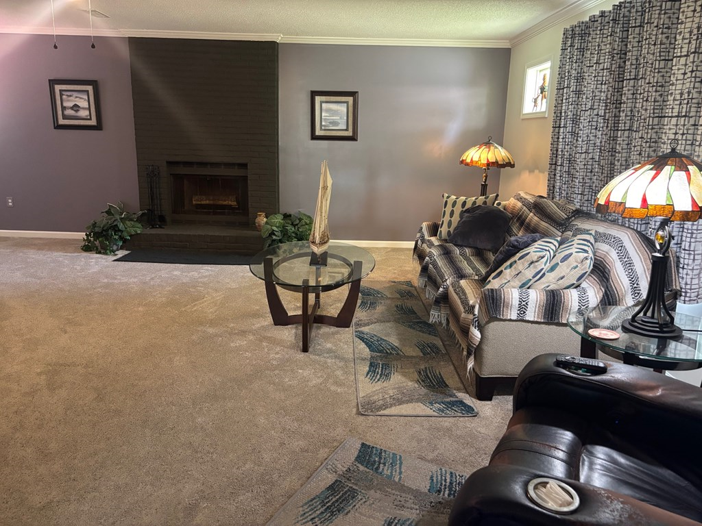 1084 Furnie Folks, Webb, Alabama image 42