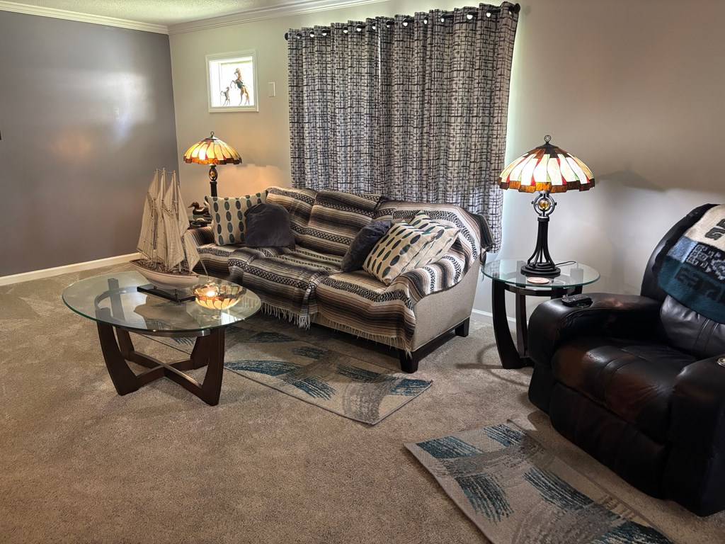 1084 Furnie Folks, Webb, Alabama image 41