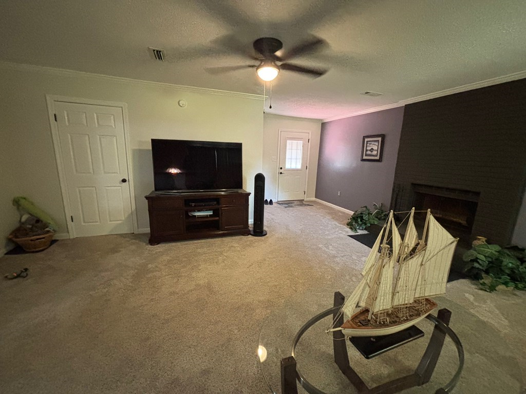 1084 Furnie Folks, Webb, Alabama image 43