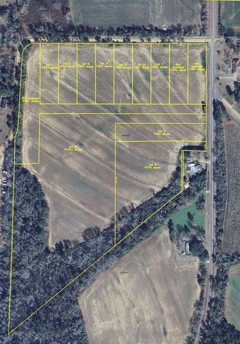 Vacant Land For Sale - N County Rd 75 Lot 8<br/> Ashford, AL 36312
