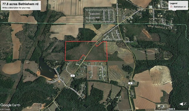 77 Acres Bethlehem Rd, Dothan, Alabama image 2