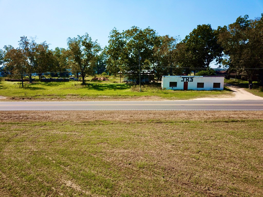 1 Acre Cottonwood Rd  (hwy 53), Cottonwood, Alabama image 18