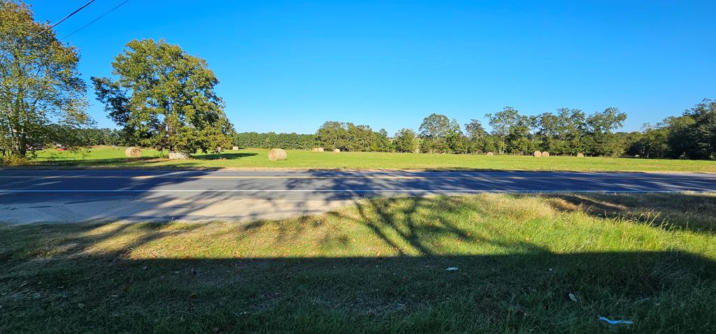 1 Acre Cottonwood Rd  (hwy 53), Cottonwood, Alabama image 14