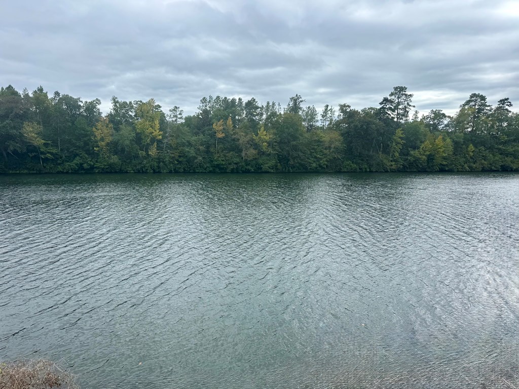 Columbia, Alabama 36319, United States, ,Land,Pending,227308