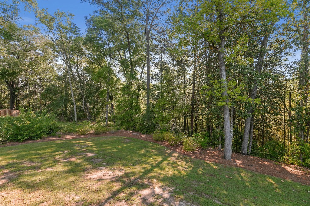 211 Wicklow Dr, Dothan, Alabama image 41