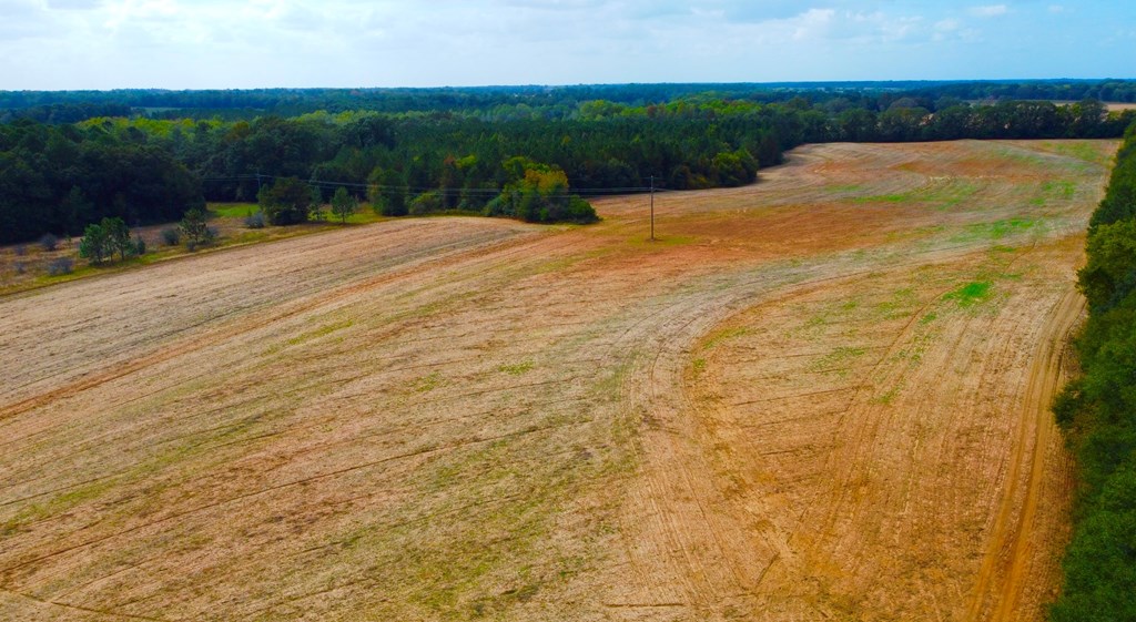 County Road 33, Headland, Alabama image 5