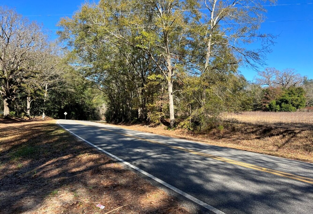 County Road 33, Headland, Alabama image 7