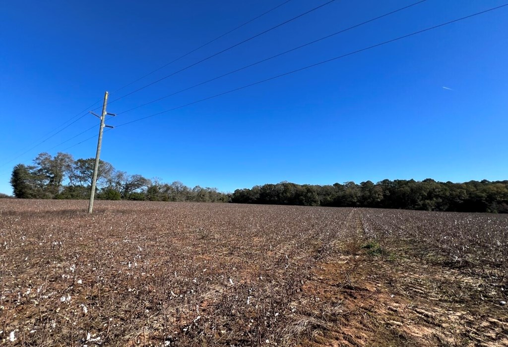 County Road 33, Headland, Alabama image 14