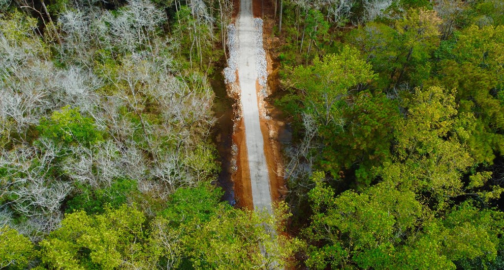 County Road 33, Headland, Alabama image 6