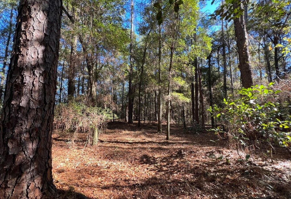 County Road 33, Headland, Alabama image 10