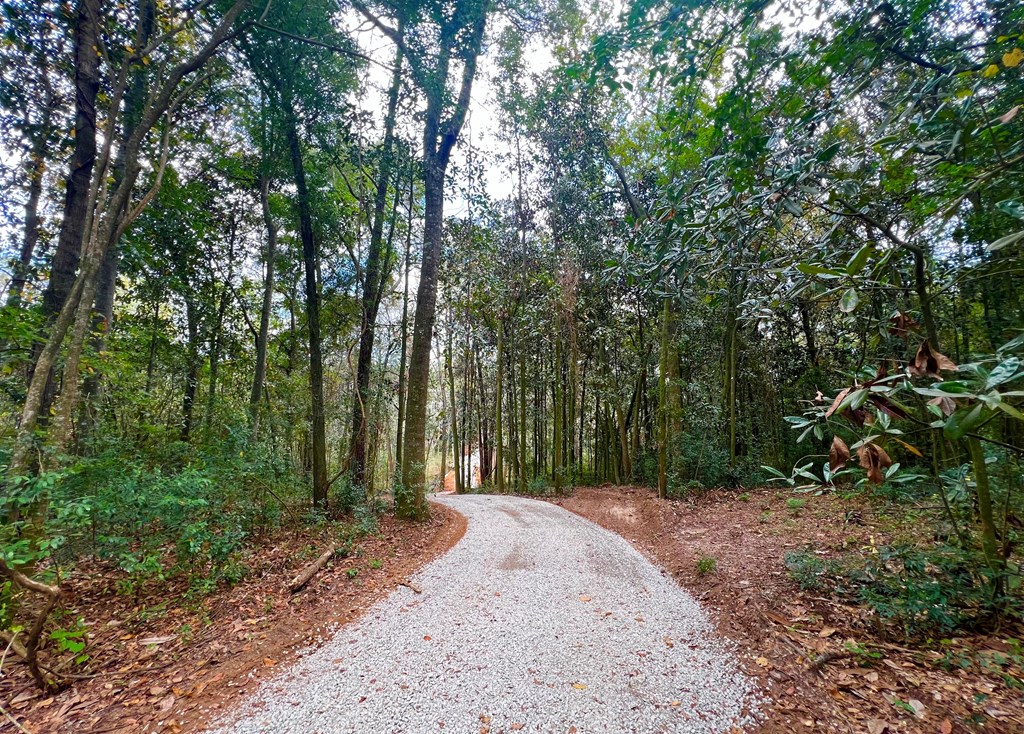 County Road 33, Headland, Alabama image 8