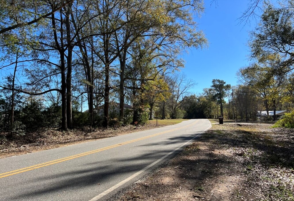 County Road 33, Headland, Alabama image 19