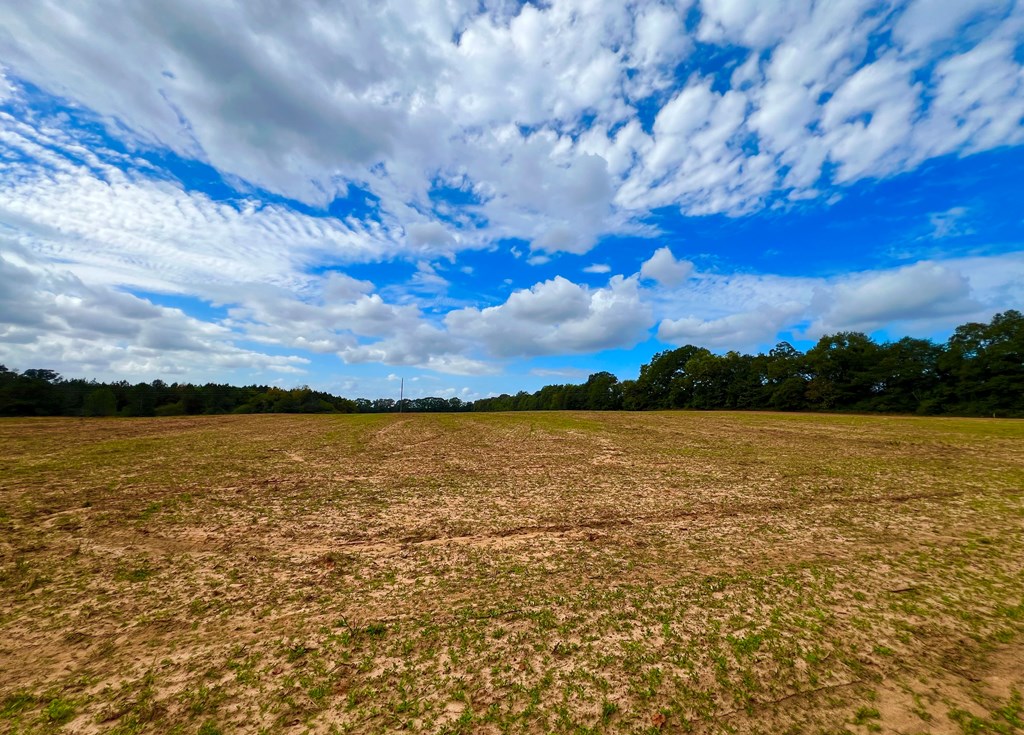 County Road 33, Headland, Alabama image 3