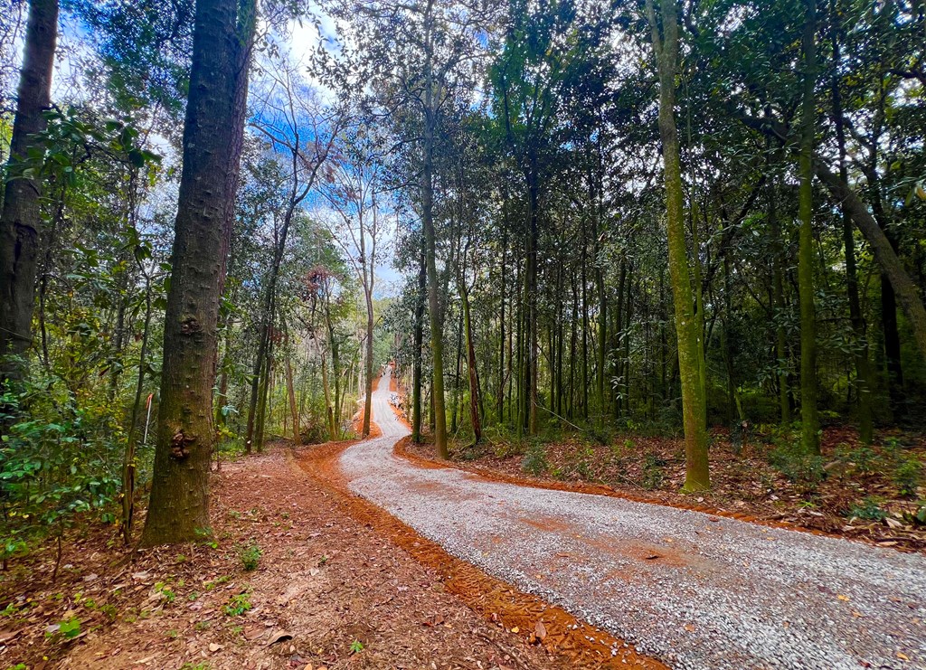 County Road 33, Headland, Alabama image 26