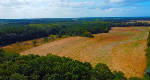 Vacant Land For Sale - County Road 33<br/> Headland, AL 36345