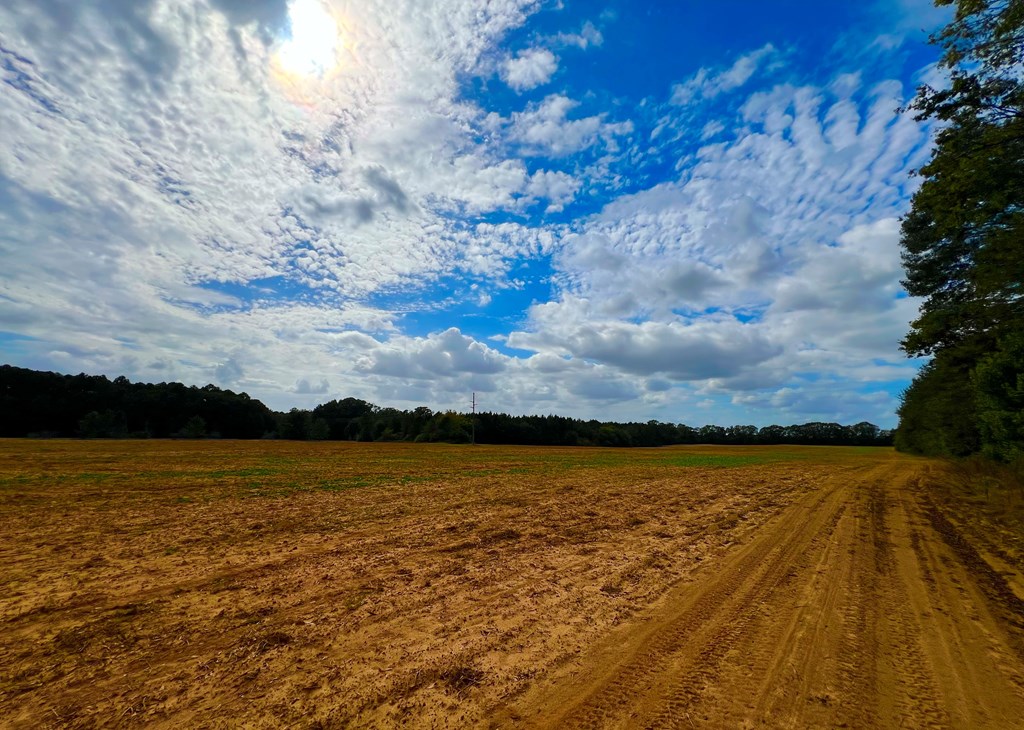 County Road 33, Headland, Alabama image 4