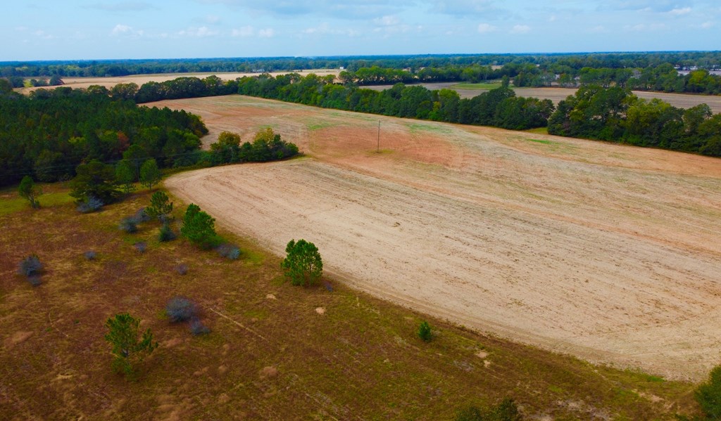 County Road 33, Headland, Alabama image 29