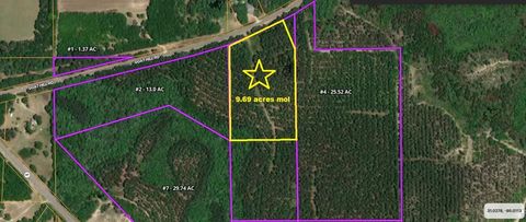 Vacant Land For Sale - 9.69 ACRES Goat Hill Rd<br/> Geneva County, Samson, AL 36477