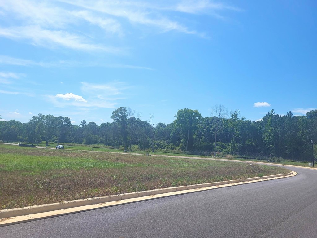168- Lot 15 Golden Oaks Circle, Dothan, Alabama image 4