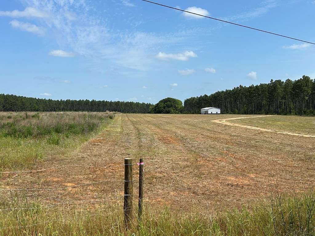 10907 (44+-ac) Cty Rd 41, Hartford, Alabama image 10